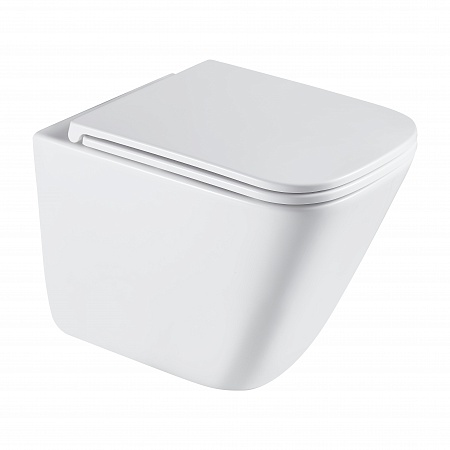 Подвесной унитаз безободковый Terminus Ватикан Monolit 490х340 белый Тверь - фото 2