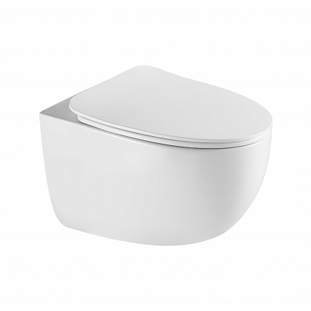 Подвесной унитаз безободковый Terminus Енисей Monolit 560х390 белый Тверь - фото 2